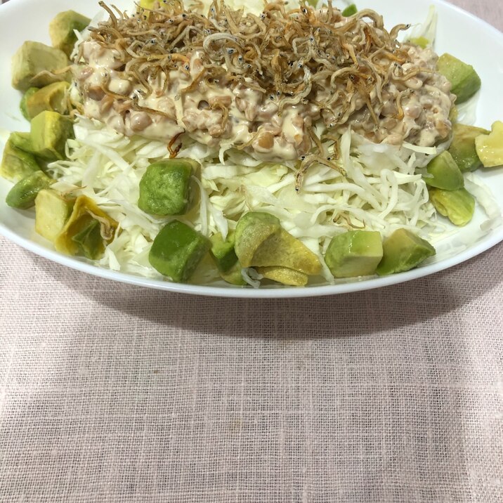 納豆キャベツサラダ